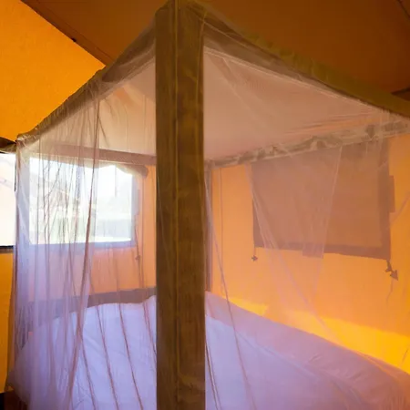 Safari Tent With Bathroom, Eindhoven At 12 Km *